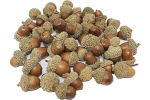 Bright Ideas Bellotas naturales, Madera, 2-3cm