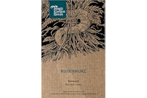 MAGIC GARDEN SEEDS Różeniec górski (Rhodiola rosea) - ok. 100 nasion