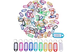 WINTEX Portachiavi con Targhette - 100 Porta Chiavi in Plastica Resistente - Etichette per Chiavi Colorate - per Organizzazione Viaggi Animali Domestici - Set Multicolore