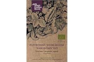 MAGIC GARDEN SEEDS Haba "Hangdown" (Vicia faba) orgánica - aprox. 20 semillas