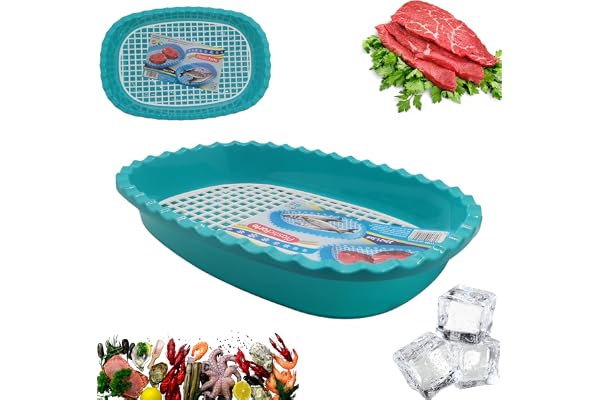 DAKE Récipient en plastique pour décongélation rapide (bleu)