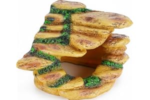 BORLECH Reptile Cave Hideout Habitat, Great for Bearded Dragons, Leopard Geckos, Lizards, Turtles, Snakes, Frogs, Scorpions, Spiders and Other Reptiles, Amphibians (B - Medium)