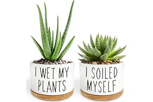 BTTWKCO 2 Pack I Wet My Plants - Funny Ceramic Planter Pot with Drainage, Cactus Pot, Cute Succulent Pots,Aloe Vera Plant Pot,Funny Plant Gifts for Women, Friends, Coworker