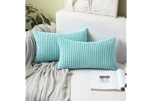 MIULEE Dekoracyjna poliestrowa poszewka na poduszkę Granulowana sofa poszewka na poduszkę z miękkiego granulatu do domu, salonu, sypialni, łóżka, kliknięcia, 40 x 60 cm, 2 sztuki niebieski turkusowy