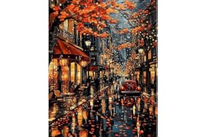 DAERLE Dipingi con i Numeri per Adulti Caffè di strada a Parigi, Paesaggio, Kit di Pittura acrilica Fai-da-Te per Principianti Facile su Tela, Decora la casa Regalo 30x40cm Senza Cornice