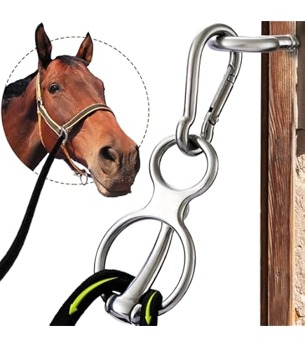 Lariksachtergrond, Gele Lariks Kegels En Naalden Van Een Lariksboom Stock Foto - Afbeelding