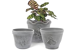 ZMTECH Plant Pots with Drainage Holes, 17.5/19/21cm Concrete Look Plastic Flower Pots with Fruit Pattern for Indoor Outdoor Planter (Set of 3, Grey)