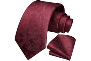 HISDERN Cravate Paisley Homme Cravates Floral Cravate Mariage Cravates de Poche Set