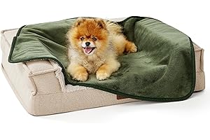 LE SURE Lesure Coperta Impermeabile per Cani di Piccola Taglia - Lavabile 80x60 cm, Proteggi Divano, Morbida e Soffice per Gatti, Verde Oliva