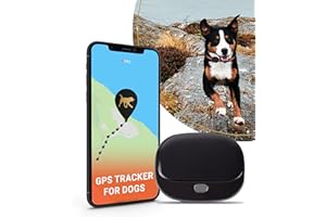 PAJ GPS PET FINDER 4G - GPS Tracker for Dogs - UK & Worldwide Real Time Tracking, Route Memory System and Alarms - Collar Included - Small & Light Weight - Black - Battery up to 5 days (Stanby)