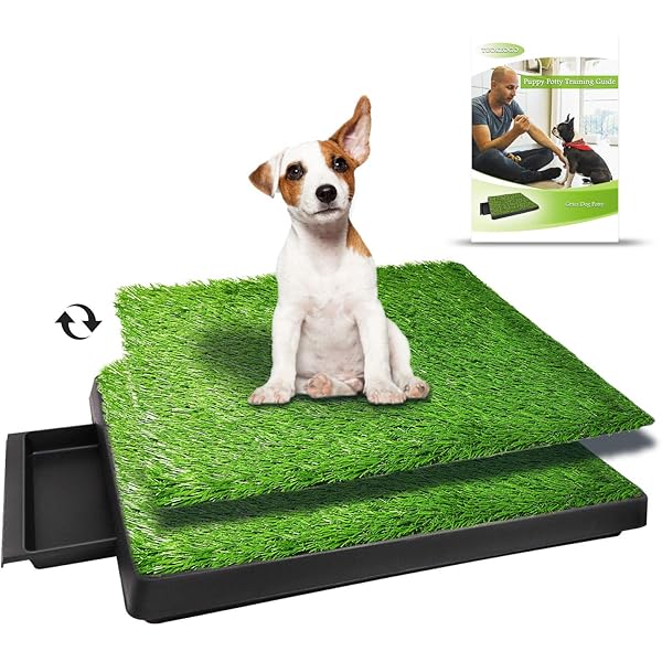 dog wee tray