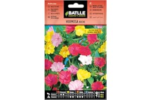 Semillas Batlle Bella Notte