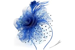 ZHITENG Fascinator för damer, fascinatormössa för damer, hårsmycke av mesh, fjädrar, slöja, mesh-pannband, huvudbonad med pärlor, fjädrar, blommor, för tebjudning, huvudbonad, cocktail, slöja, fest