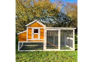 Animal Valley - Gallinero de techo reforzado, tejado de plástico de 6 a 8 gallinas, 2,36 x 1,1 x 1,24 m