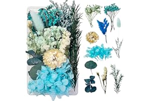 DOG'S BOOTY Flores Secas Naturales Flores Secas para Resina Flores Secas Naturales Decorar Flores Secas Manualidades DIY Joyería Vela Arte de Uñas Artesanía Scrapbooking Decoración Floral（ni Azul）