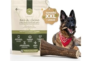 Tony & Lolas Asta de Ciervo para Perro - Mordedor Perro - Huesos para Perros Grandes- Juguetes para Perros - Dog Toys - Talla XXL - Ideal para Razas Extra Grandes de + 40kg - 1 Unidad