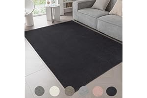 Ceneco Rugs Living Room,Short Pile Washable Rug for Living Room Non Slip Non Shedding Carpet for Bedroom Kitchen(Black, 140×200cm)