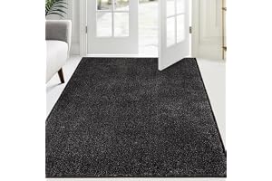 FCSDETAIL Dörrmatta för inomhusbruk, 137 x 210 cm, halkskyddad, vattenabsorberande dörrmatta för entrédörr, tvättbar matta fö