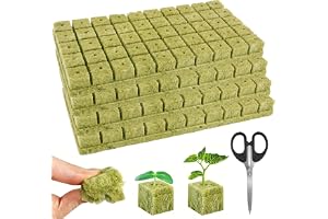 200 st. stenullodling, 25 x 25 x 25 mm stenulltärning för hydroponic