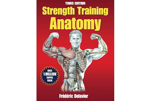 Strength Training Anatomy