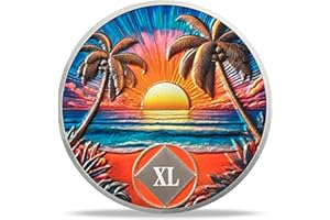 DEDECOML 40 Year Sobriety Coin - Beach NA Medallions | Narcotics Anonymousa AA Chips and Medallions | Addiction Recovery Gifts for Celebrating Recovery Anniversary Milestones | Sobriety Gifts for Women & Men