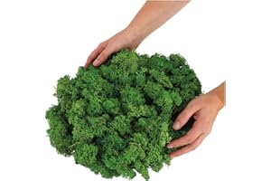 ‎COM-FOUR com-four® 250g Oster-Dekomoos – Bastel-Moos, Naturmoos, echtes Deko-Moos zum Basteln & Dekorieren, Moos für Osterdeko, Frühling, Tischdeko, Kränze, Nester, Modellbau & Natur (Deko-Moos - 250g)