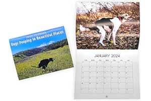 Vordpe Pooping Dog Calendar 2024, kalendarz ścienny, kalendarz ścienny, prezent dla przyjaciół, rodziny, sąsiadów