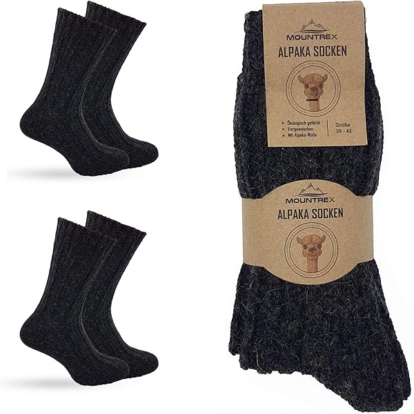 Alpaca