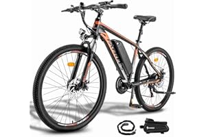 Fafrees 26 Hailong-One Electric Bike, 26'' Electric Bicycle for Adults, 36V/13Ah Removable Battery E-bike, 250W Electric Mountainbike for Men, Aluminum Alloy Frame, Power Assist 80KM