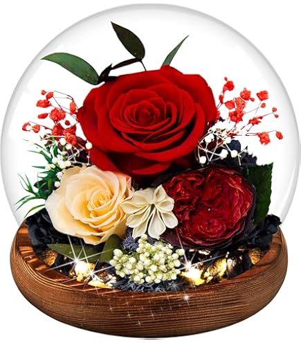 Bewaarde roos met ik hou van je ketting Cadeaus voor vrouw