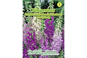 N.L. Chrestensen 543181 Fingerhut Großblumige Prachtmischung (Fingerhutsamen)