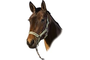 USG Halter with Silver Fittings, Cob, Brown/ Orange/ Light Green