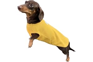 D DOGGY STAR Dachshund Clothes for Dogs Mini and Adults T Shirts (S,Solid Mustard)