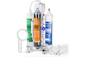 Frizzlife FAF100 - Sistema di filtraggio ad osmosi inversa a 4 stadi RODI con filtro in resina DI, per acquari, 100 GPD