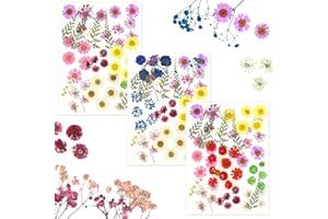 ‎VEZERD Vezerd Gepresste Blumen, 80 Stück Natürliche Trockenblumen zum Basteln, DIY Getrocknete Blumen, Gemischte Getrocknete Blätter Gänseblümchen DIY Kerzen Schmuck Nagel Anhänger Kunsthandwerk Dekoration