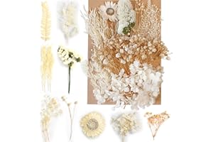 DISNACE Flores Secas Naturales Flores Secas para Manualidades Flores Naturales Mixtas DIY Flores Prensadas Secas para Artes DIY Resina Artesanía Scrapbooking Decoración Tarjetas Boda Álbum