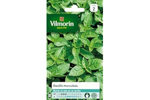 Vilmorin 5873246 Pack de Graines Basilic Marseillais Extrêmement Parfumé