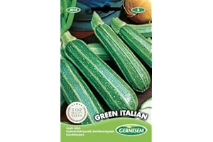 Germisem graines Courgette verte d'Italie (coucourzelle) GREEN ITALIAN