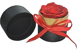 SEIYOGDS Rose Stabilizzate Fatte a Mano, Mini Scatola Regalo Rosa eterna, Regalo Duraturo per Festa della Mamma, Box Fiori Stabilizzati Veri, Rosa Stabilizzata,Ragazze Regali di Nozze,Anniversario