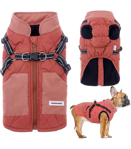 Hundewintermantel Mit Integriertem Geschirr – Wind- & Wasserdicht, Gefüttert, Mit Reflektorstreifen, Für Kleine Hunde (Größe L, Grün)