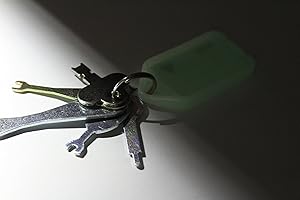 SD Fire Alarms 01 Lot de 5 clés de Test d'éclairage d'urgence