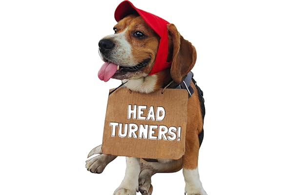 Baseball Cap with Neck Strap for Dogs by Go Bandanas (M, Red)