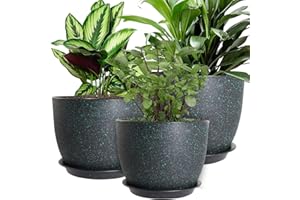 MUAEEOK Plant Pots 25/23/20 cm, Set of 3 Modern Decorative Plastic Planters with Drainage Holes and Saucers for House Plants Indoor Flowers Plants (Black With Green Speckles)