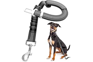 SIMPLYNATURAL NATURAL PET FOOD 𝗧𝗵𝗲 𝗪𝗶𝗻𝗻𝗲𝗿 𝟮𝟬𝟮𝟬* Cintura Sicurezza Cani Auto Regolabile 65-100 cm, Guinzaglio con Ammortizzazione Elastica