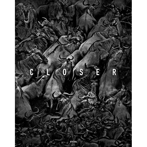 Closer: Tomasz Gudzowaty : Gudzowaty, Tomasz: Amazon.de: Bücher