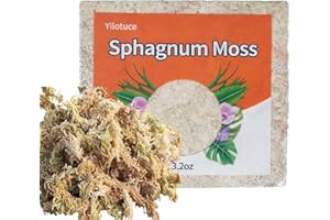 Yilotuce 90g Sphaigne pour Plante, Très Bon Substrat pour Orchidées, Bon Terreau Plante Intérieur