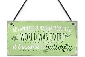 RED OCEAN Became A Butterfly Quote Hanging Plaque SummerHouse Sign Garden Shed Mum Nan Beautiful Home Gift