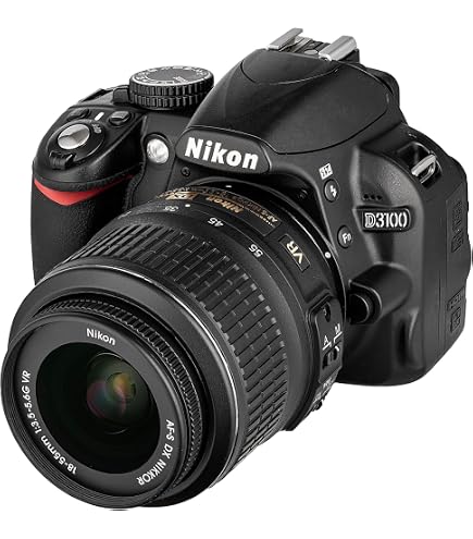 Nikon D5500 + AF-S DX NIKKOR 18-55mm f/3.5-5.6G VR II - digital