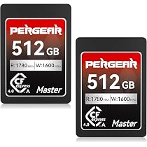 Scheda di memoria CFexpress B-Type da 256 GB con velocità di lettura fino a 1700 MB/s e velocità di scrittura 1600 MB/s, compatibile con fotocamere Nikon Canon, adatta per registrazione video 4K/8K/6K Scheda di memoria CFexpress B-Type da 256 GB con velocità di lettura fino a 1700 MB/s e velocità di scrittura 1600 MB/s, compatibile con fotocamere Nikon Canon, adatta per registrazione video 4K/8K/6K
