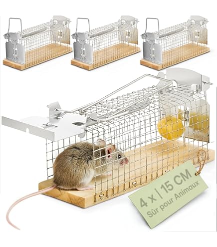 Boutique Des Trappes - Pièges à Souris